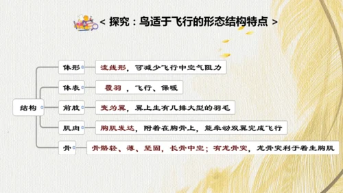 人教版 初中生物七年级上册2.2.2脊椎动物（鸟和哺乳动物）课件(共24张PPT)+ 视频素材