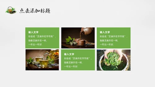 绿色实拍风茶文化通用PPT模板中国传统文化