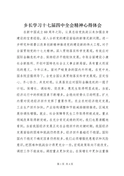乡长学习十七届四中全会精神心得体会.docx
