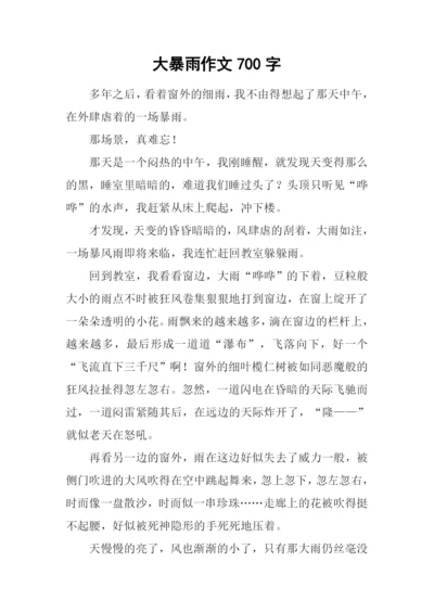 大暴雨作文700字.docx
