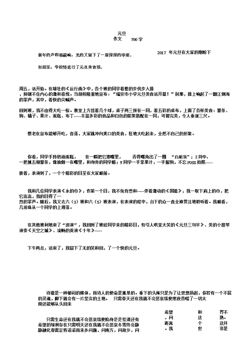 元旦乐作文700字