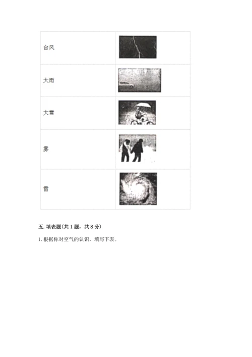 教科版三年级上册科学期末测试卷【典型题】.docx