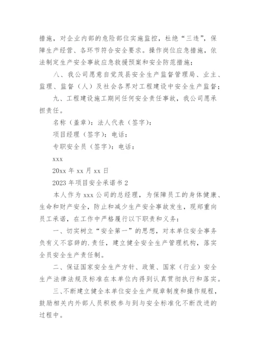 项目安全承诺书.docx