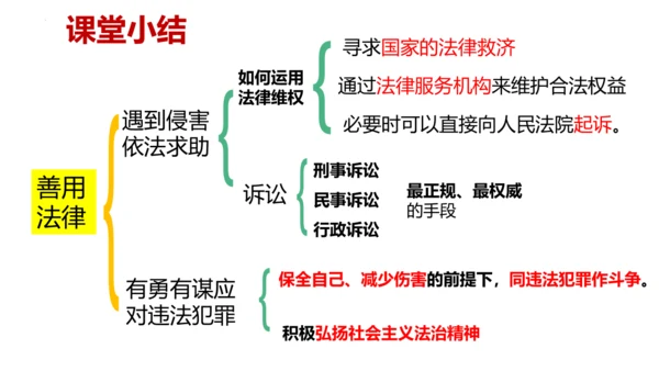 5.3 善用法律 课件(共28张PPT)