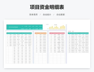 项目资金明细表