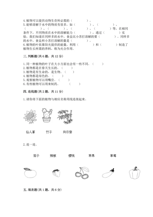 教科版科学一年级上册第一单元《植物》测试卷及答案（基础+提升）.docx