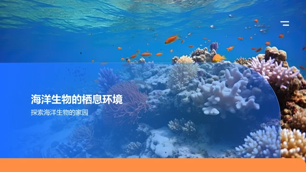 蓝色摄影风海洋生物知识科普PPT模板