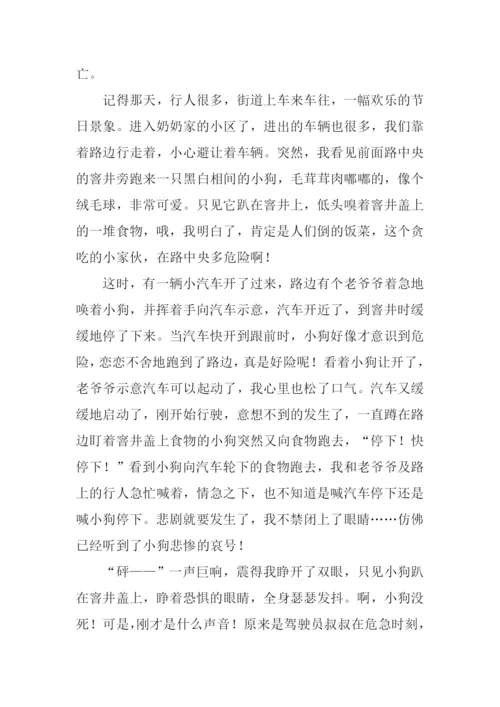 春节见闻作文700字.docx