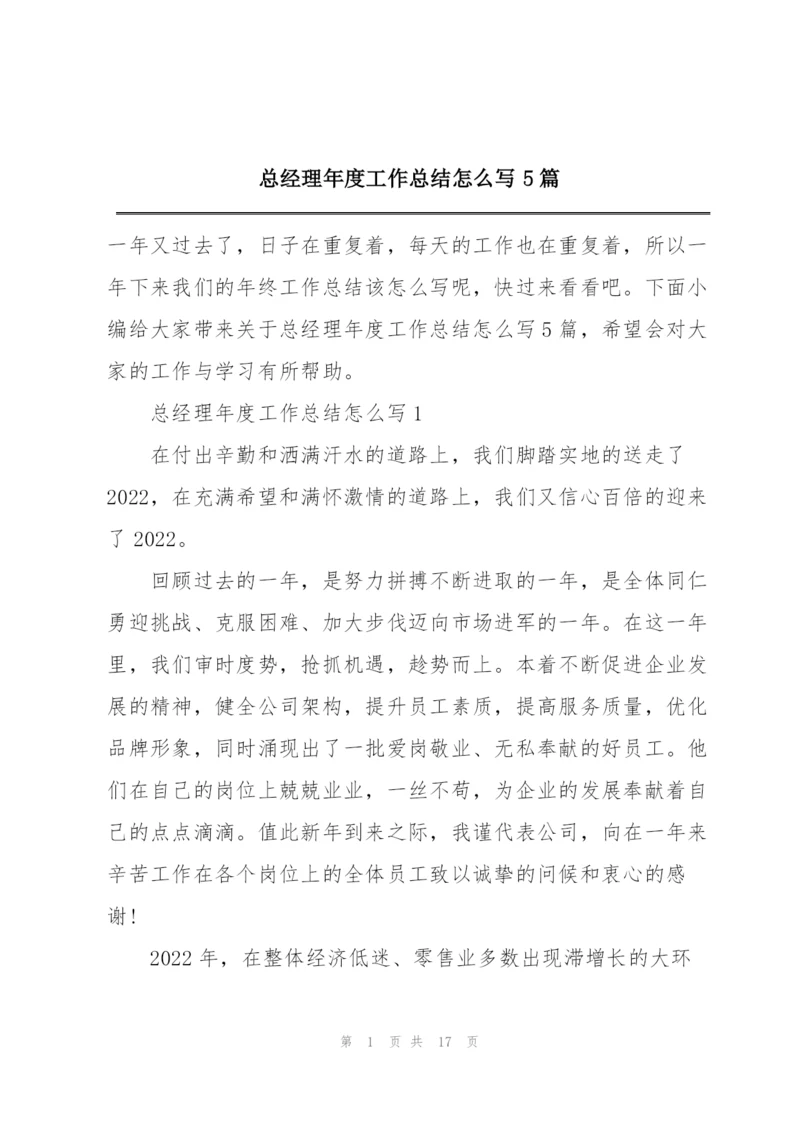 总经理年度工作总结怎么写5篇.docx