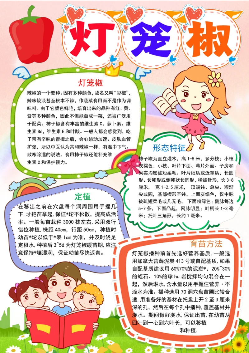 灯笼椒成长日记小报植物生长手抄报电子小报