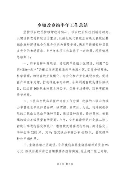 乡镇改良站半年工作总结.docx