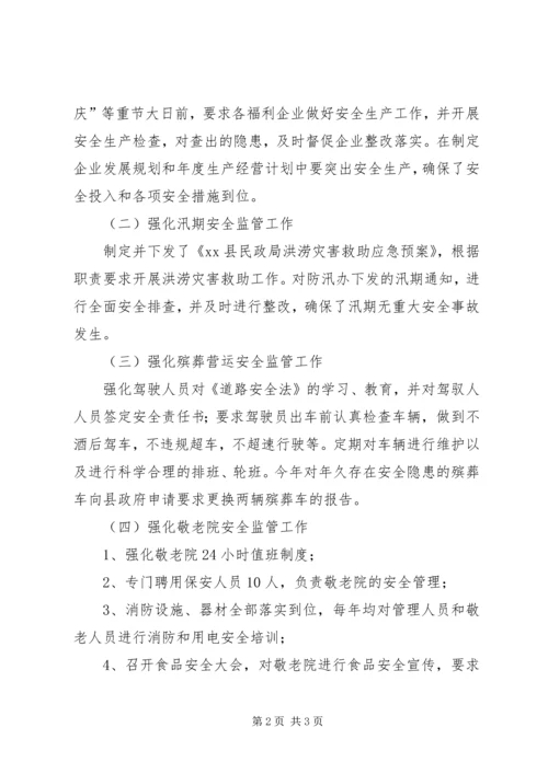 县民政局安全生产工作报告.docx