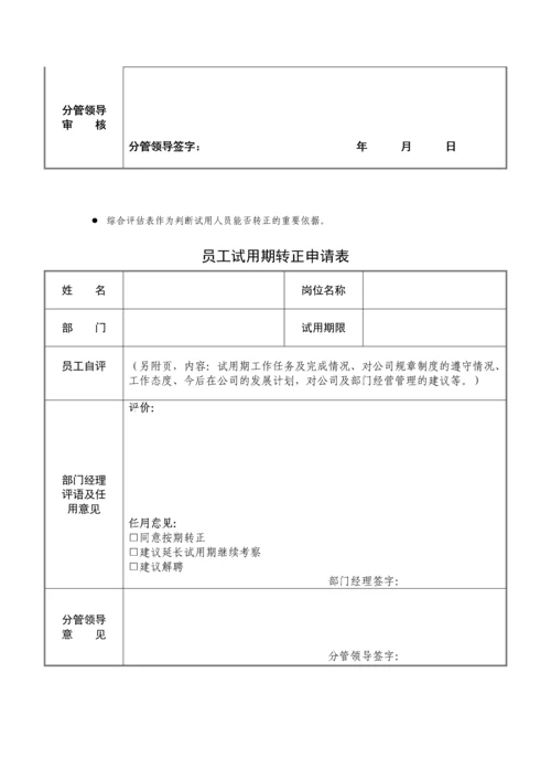 试用期管理办法及试用期考核表格.docx