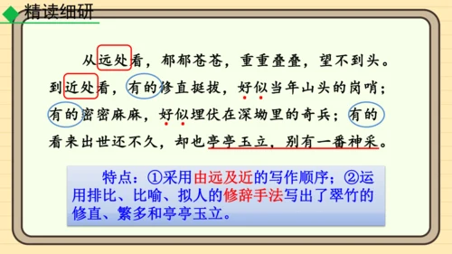 20 井冈翠竹 课件