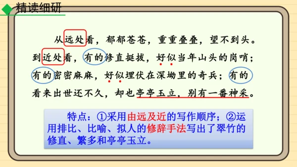 20 井冈翠竹 课件