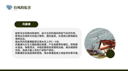 台风来袭，防台风安全教育培训通用PPT模版