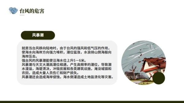 台风来袭，防台风安全教育培训通用PPT模版