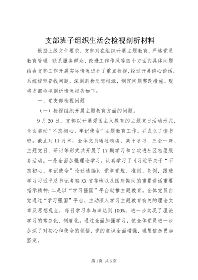 支部班子组织生活会检视剖析材料.docx