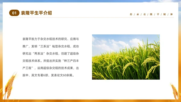 黄色实拍稻穗522纪念杂交水稻之父袁隆平主题班会PPT纪念袁隆平