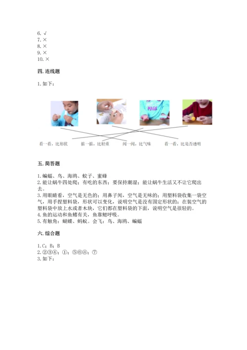 教科版一年级下册科学期末测试卷精品（历年真题）.docx