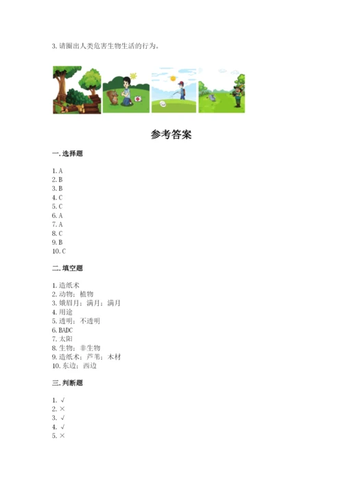 教科版二年级上册科学期末测试卷精品（完整版）.docx