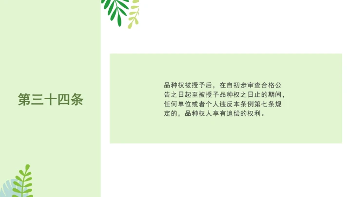 普法全文学习2025年4月新修订《中华人民共和国植物新品种保护条例》PPT课件