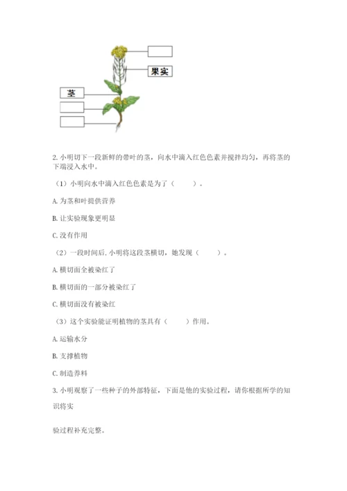 科学四年级下册第一单元植物的生长变化测试卷完整.docx