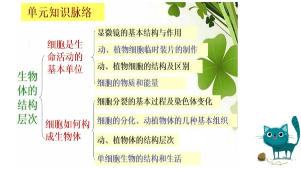 七上 第二单元生物体的结构层次-复习课件(共35张PPT)