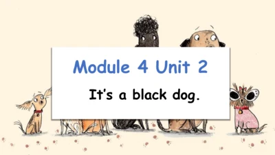 Module 4 Unit 2 It's a black dog  课件(共27张PPT)