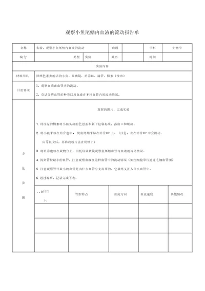 实验：观察小鱼尾鳍内血液的流动实验报告单