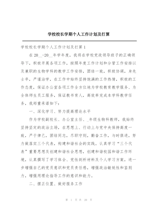 学校校长学期个人工作计划及打算.docx