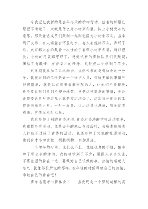 青年志愿者心得体会.docx
