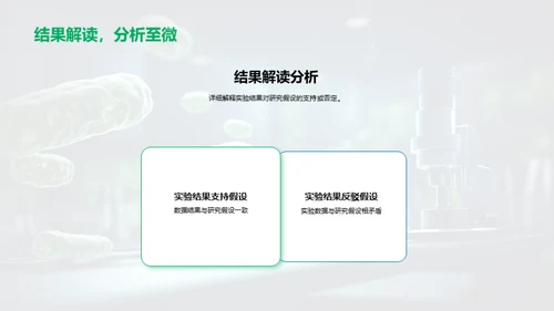 博士研究揭秘