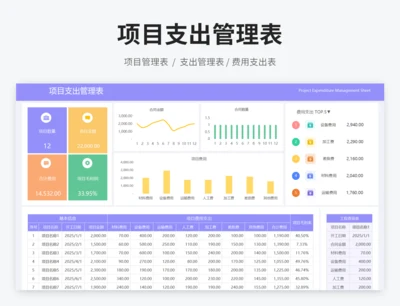 项目支出管理表
