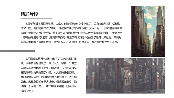 《羊脂球》名著读后感PPT模板