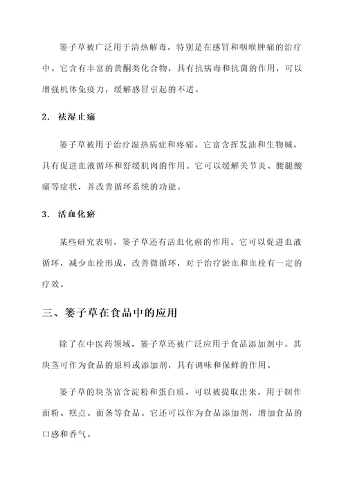 篓子草的作用和功效