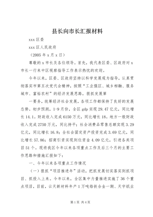 县长向市长汇报材料 (7).docx