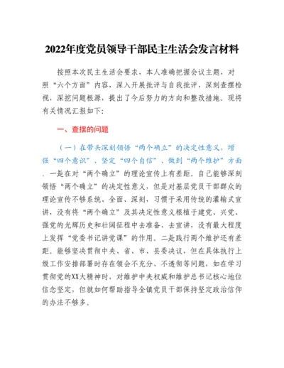 20230311：2022年度党员领导干部民主生活会发言材料.docx