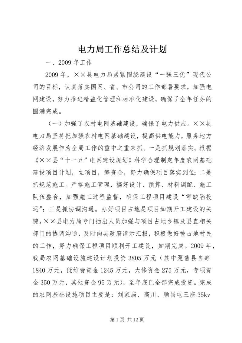 电力局工作总结及计划.docx