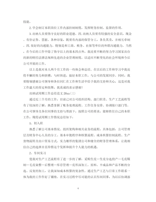 精编之出纳试用期工作总结范文2.docx