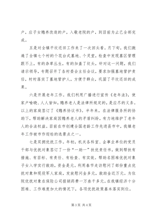 乡镇民政工作要点小结.docx