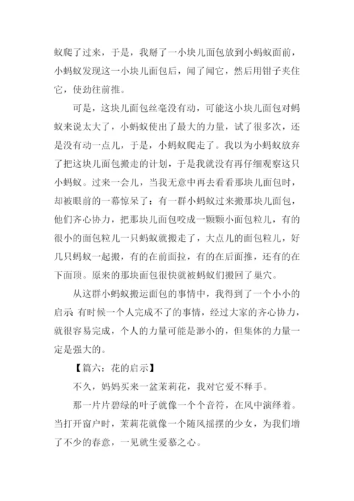 什么的启示作文200字.docx