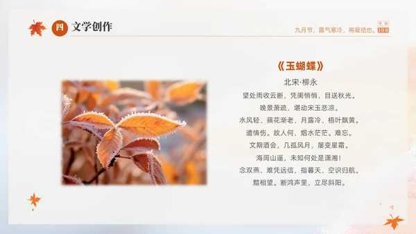 白色淡雅实拍风中国传统节气寒露节气介绍PPT