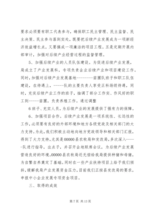 后续产业发展报告.docx