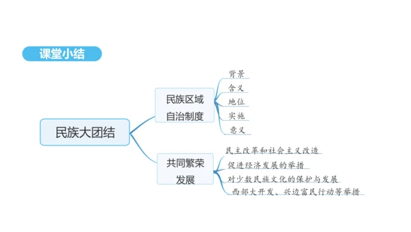 第12课 民族大团结  课件 2024-2025学年统编版八年级历史下册