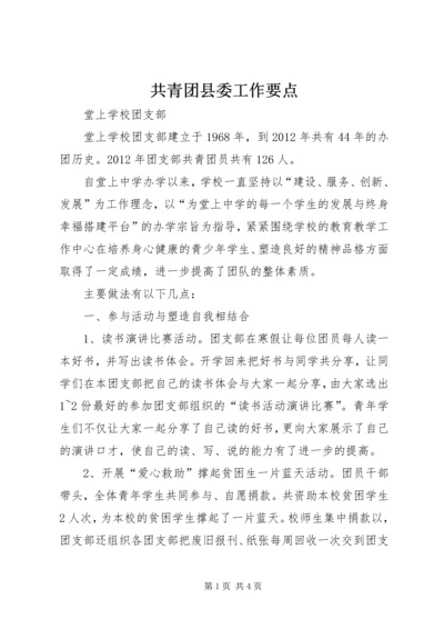 共青团县委工作要点 (8).docx