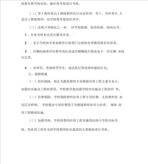 学校梯级式教师培养方案