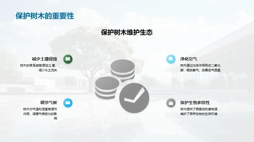 植树环保，学校先行