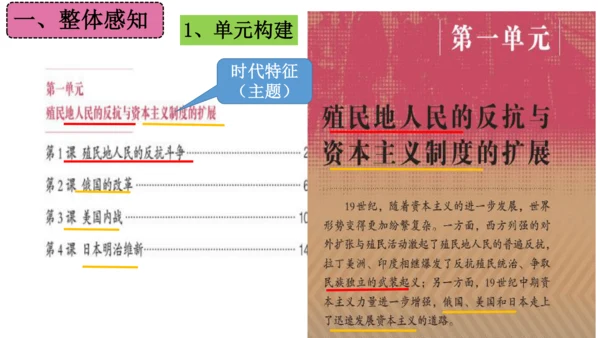 第一单元 殖民地人民的反抗与资本主义制度的扩展（单元复习课件）-2023-2024学年九年级历史下册