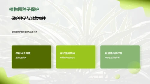 绿色卫士：植物园的力量